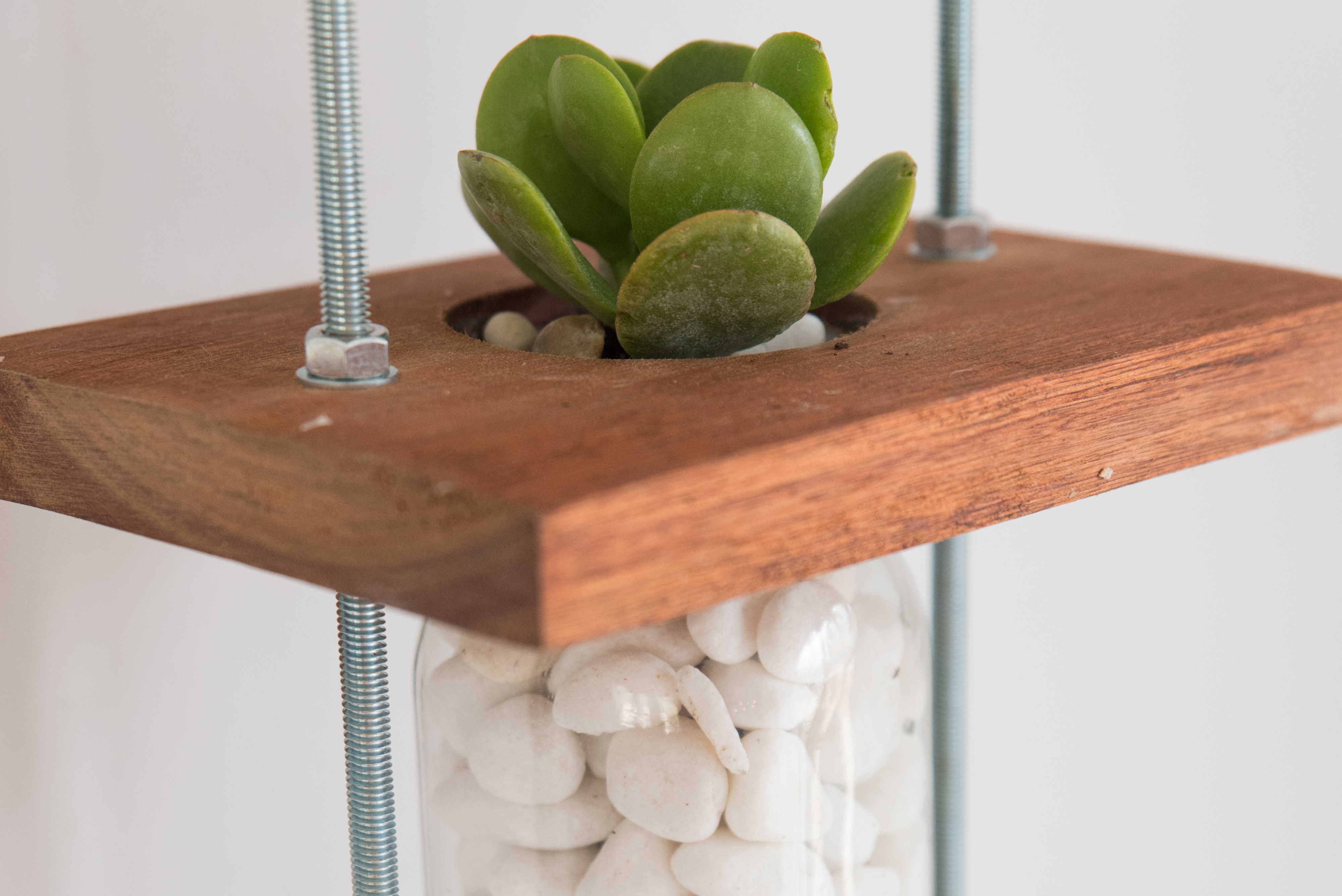 Hanging Vases