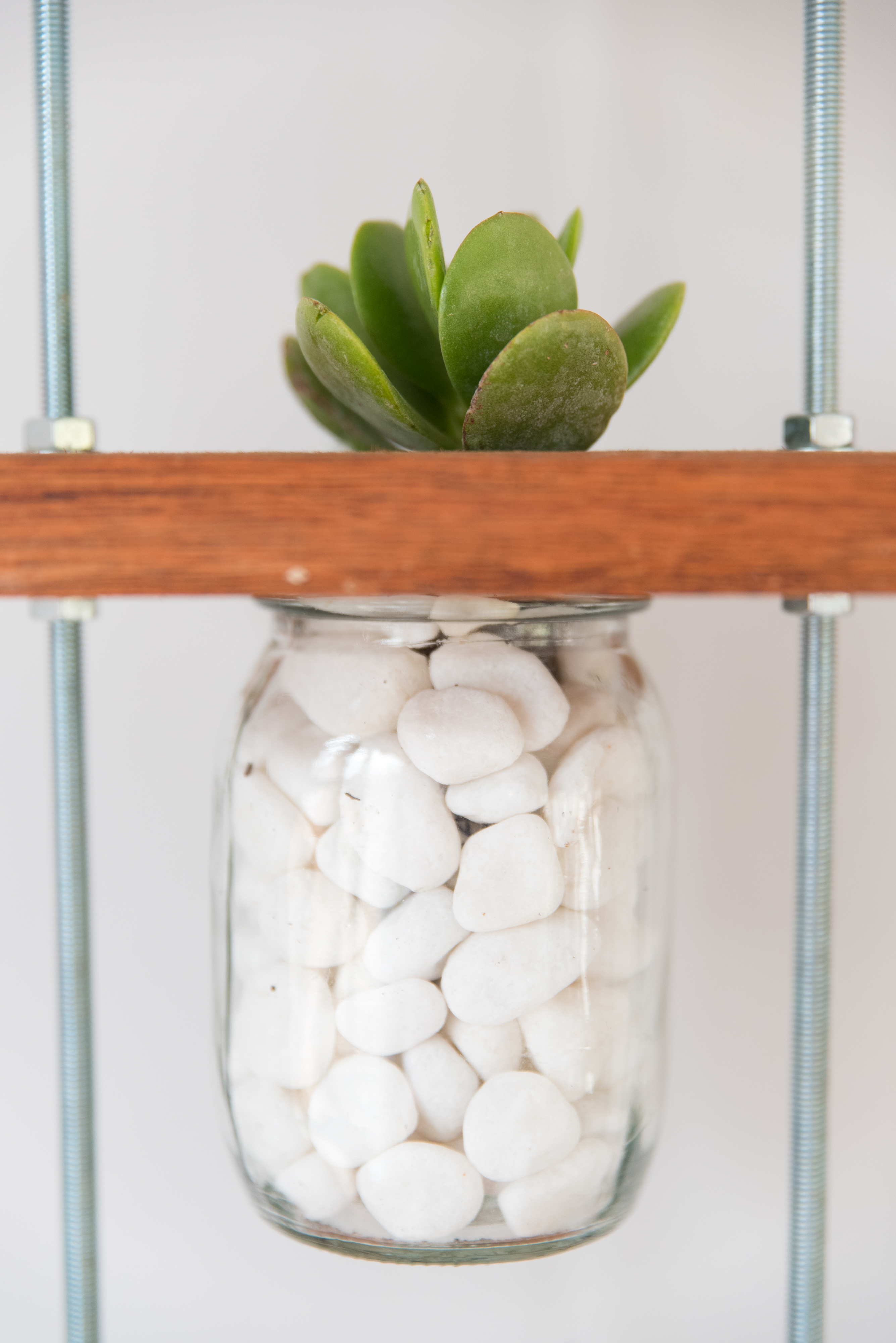 Hanging Vases