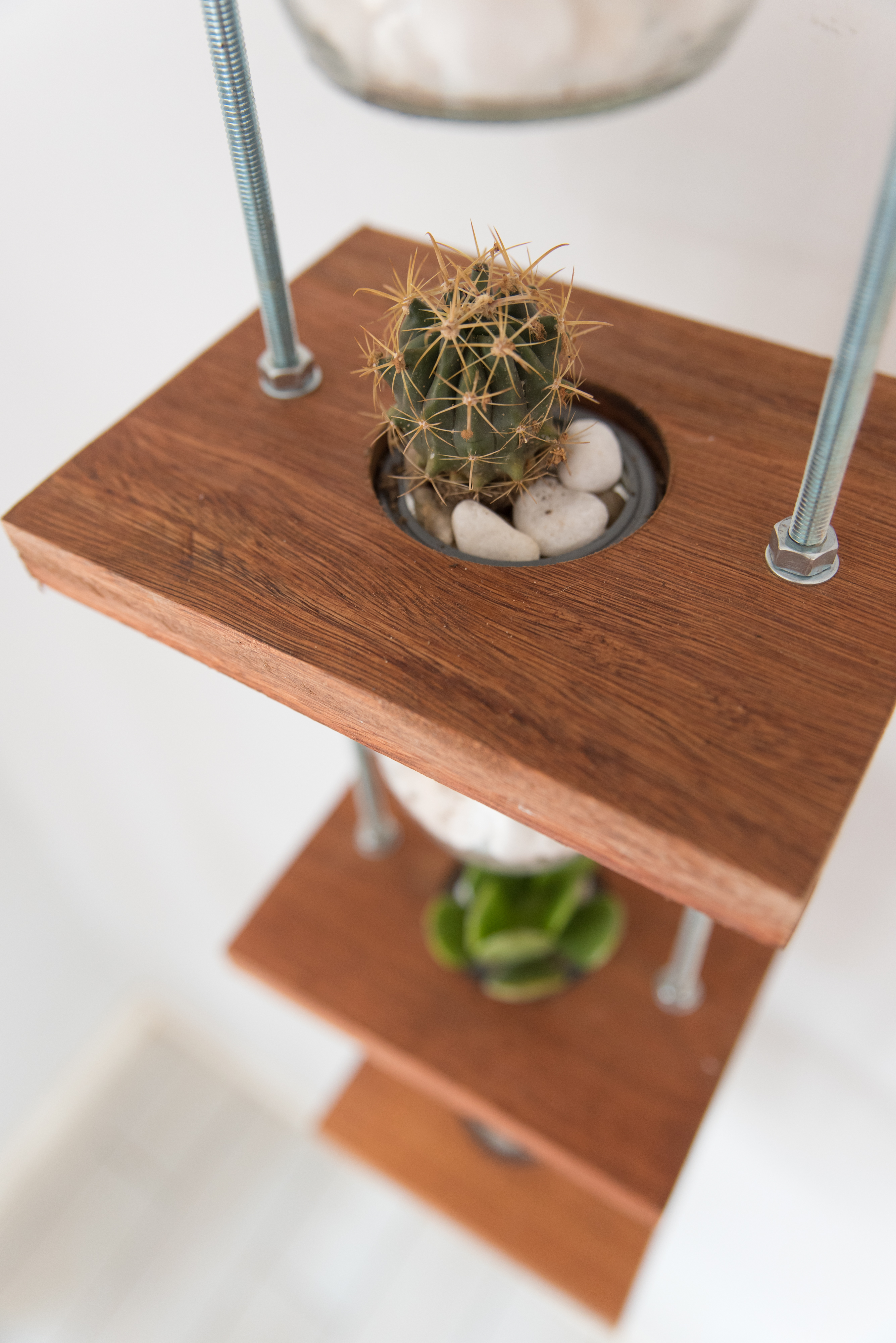 Hanging Vases